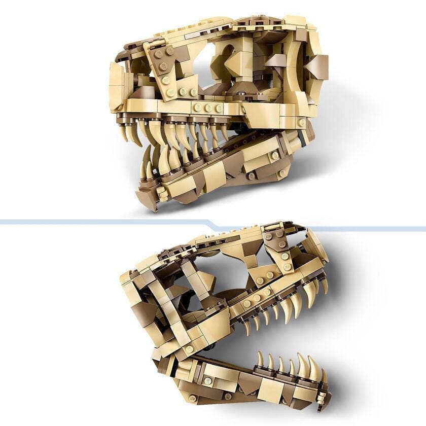 LEGO Jurassic World 76964, Dinosauriefossiler: T. rex-skalle