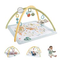 Fisher Price, Sensimals Simply Senses Newborn Gym