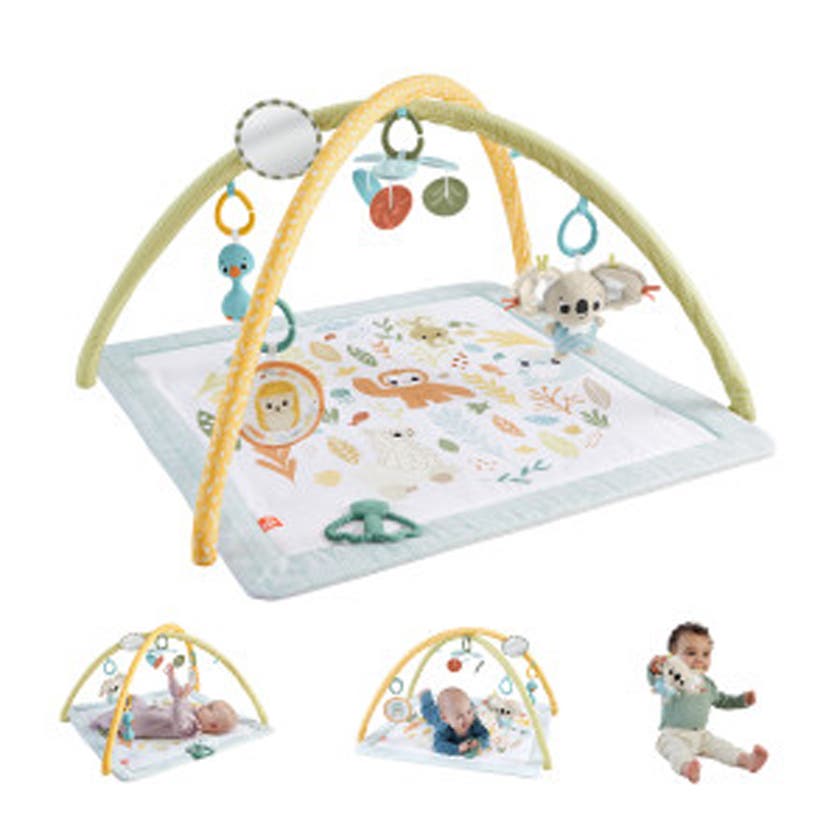 Fisher Price, Sensimals Simply Senses Newborn Gym