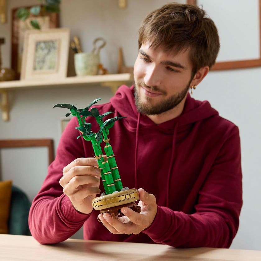 LEGO Botanicals 10344, Bambudracena