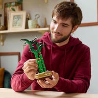 LEGO® Botanicals Bambudracena 10344