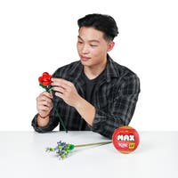 ZURU Max, Rose Collection Series 1