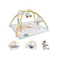 Fisher Price, Sensimals Simply Senses Newborn Gym