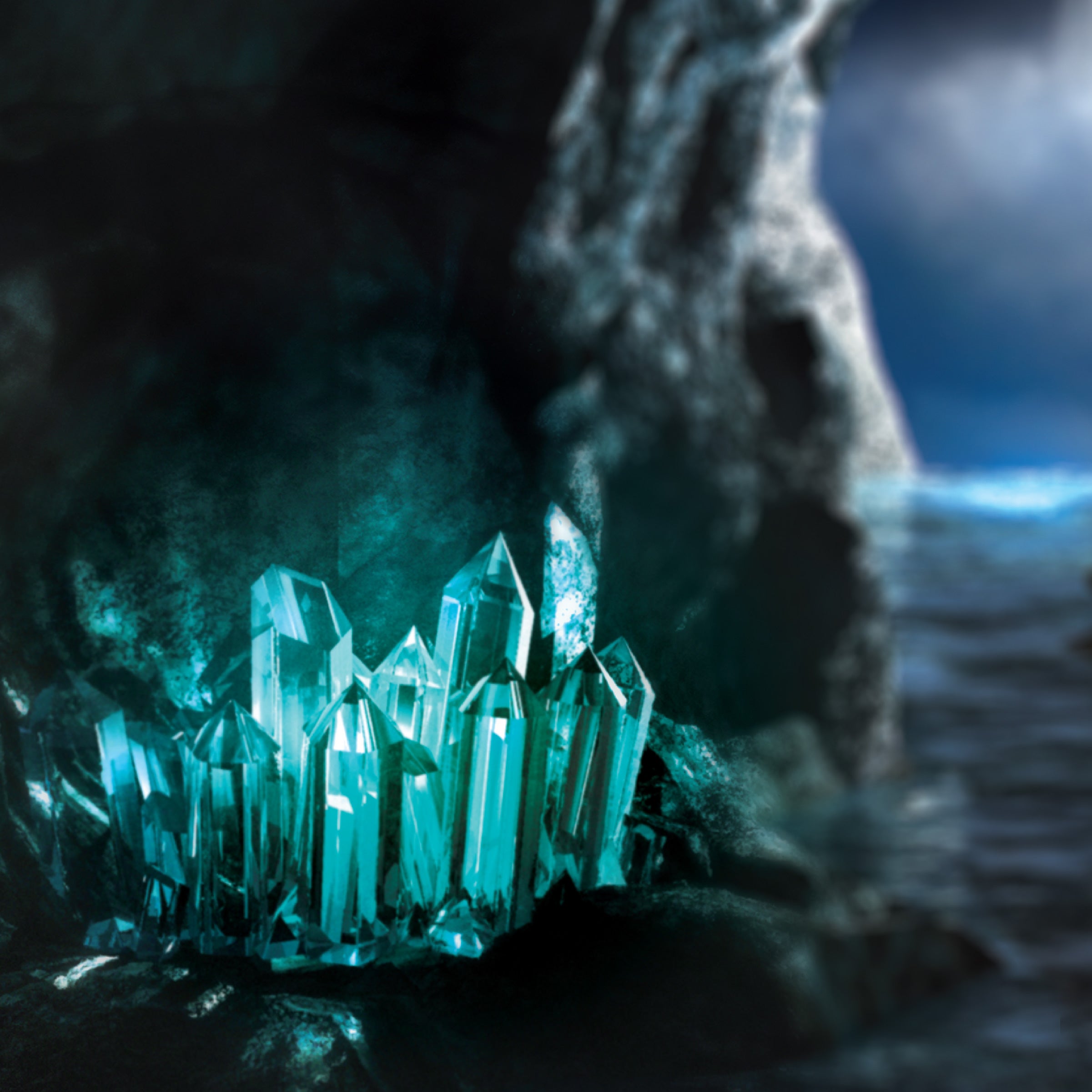 Discovery - Growing kit