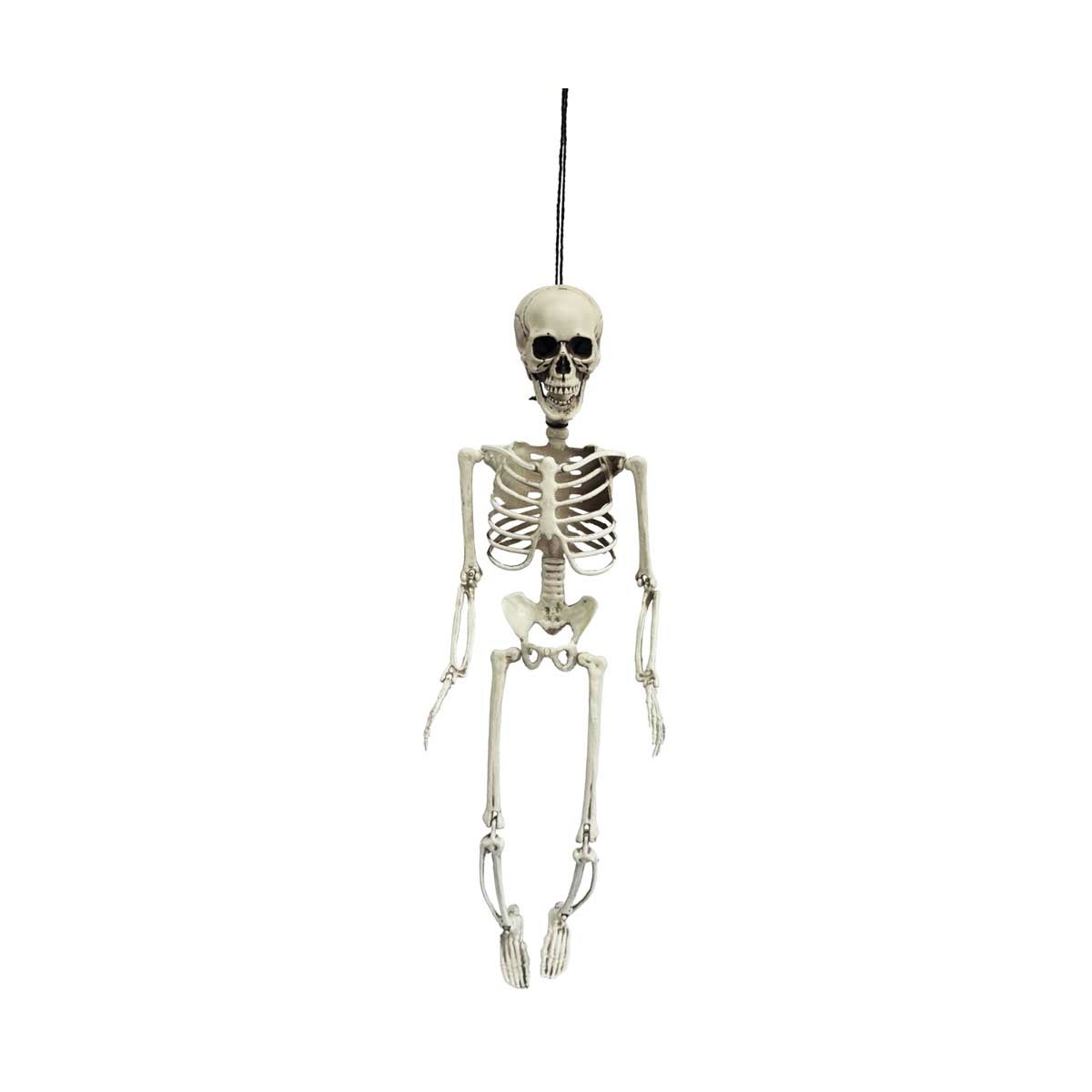 Halloween, Skeleton 56 Cm