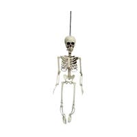 Halloween, Skeleton 56 Cm