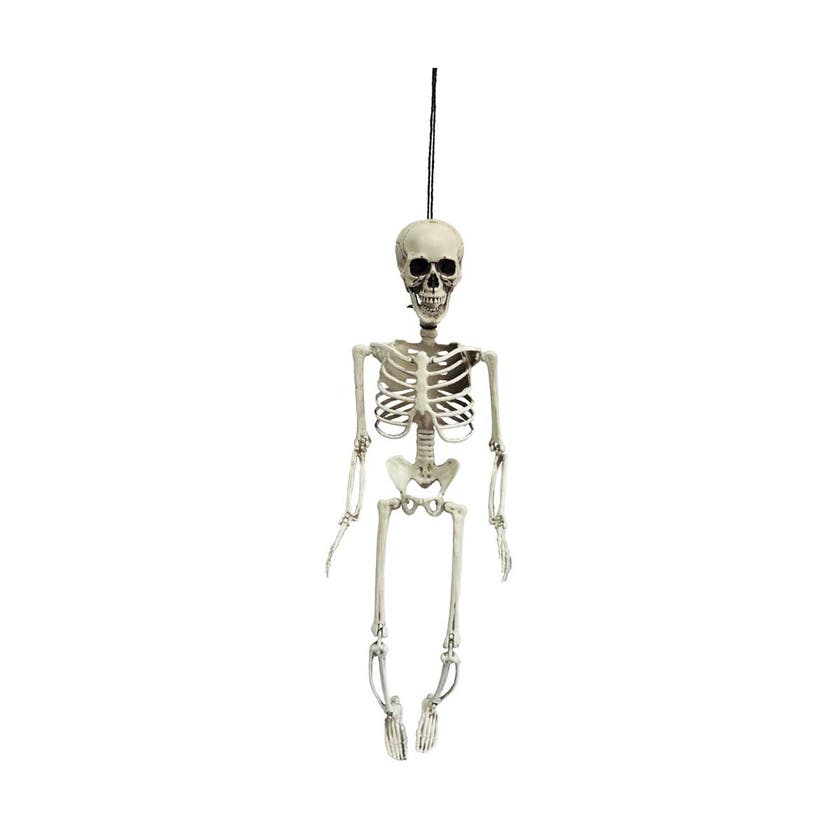 Halloween, Skeleton 56 Cm