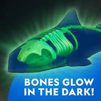 National Geographic Glow-In-The-Dark Shark Lab