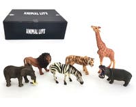 Animal Life, Singeldjur i display Vilda djur