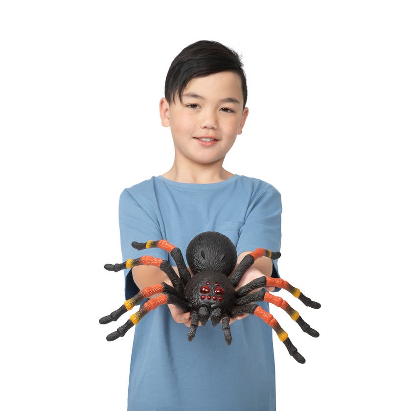 Robo Alive, Creepy Crawly Pack