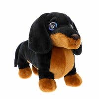 Cutekins, Donna Chichi