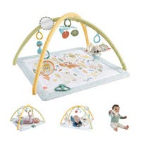 Fisher Price, Sensimals Simply Senses Newborn Gym