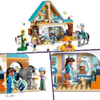 LEGO Friends 42651, Veterinärklinik för hästar och husdjur