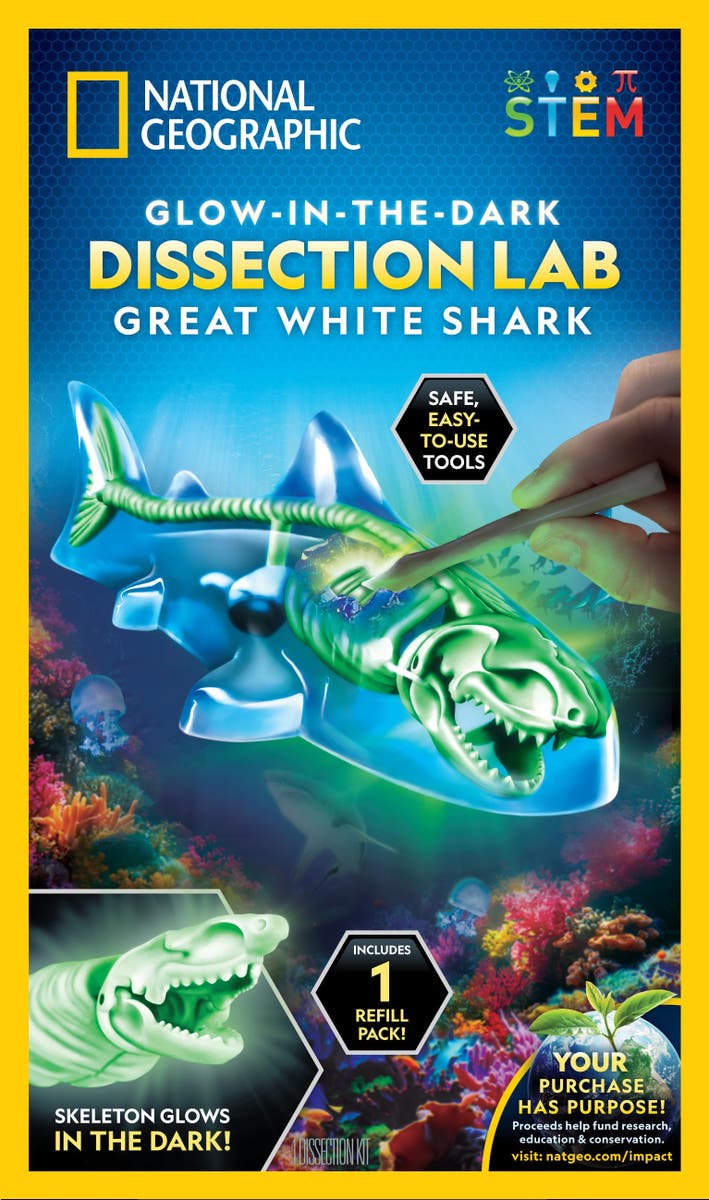 National Geographic Glow-In-The-Dark Shark Lab
