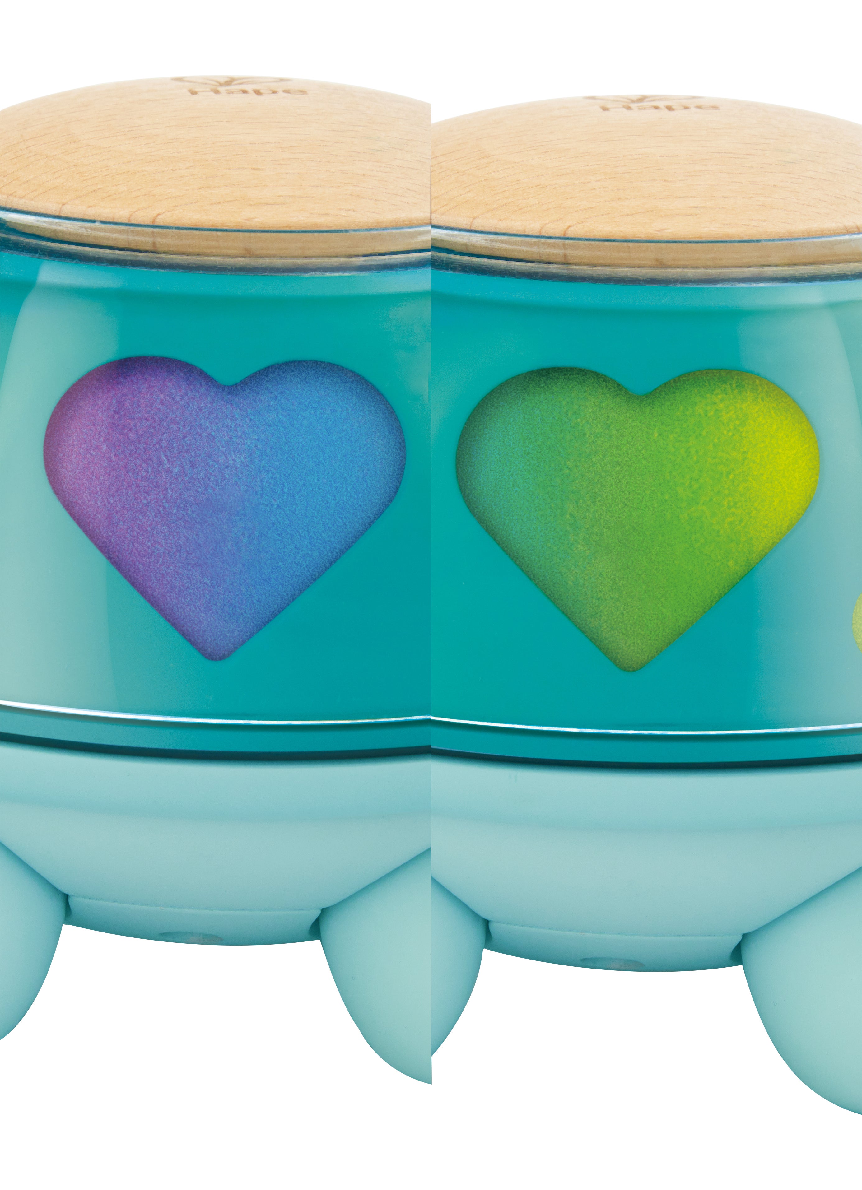 Hape Twist & Tune Musical Turtle – musiksköldpadda