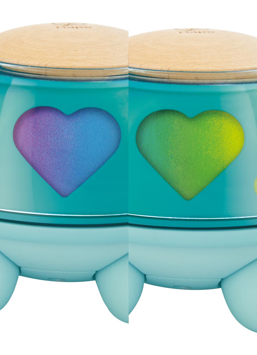 Hape Twist & Tune Musical Turtle – musiksköldpadda