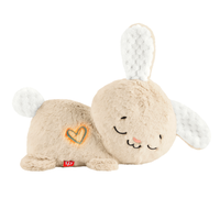 Fisher-Price Soothe & Settle Bunny