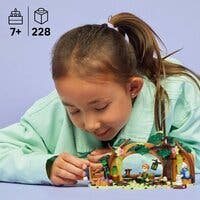 LEGO Wicked 75687, Elphabas retreat