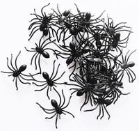 Spiders 30 pcs/box