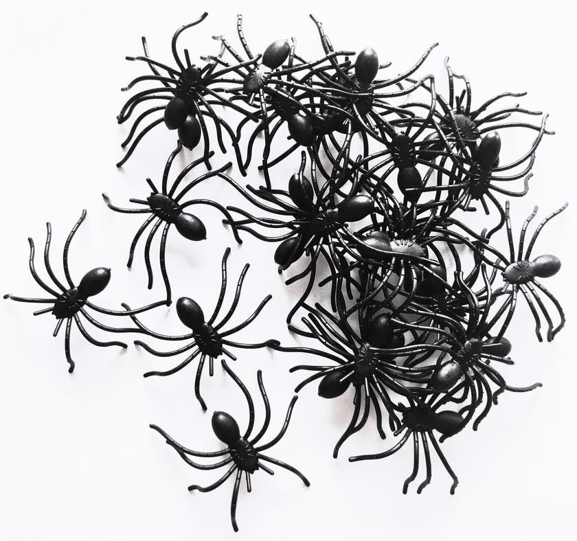 Spiders 30 pcs/box