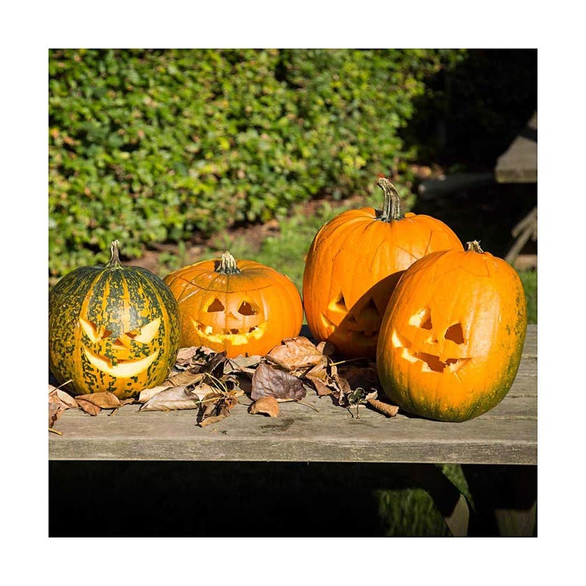 Pumpa Skärset