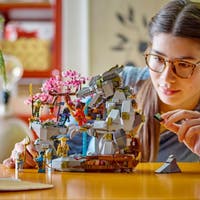 LEGO NINJAGO 71819, Drakstenens tempel