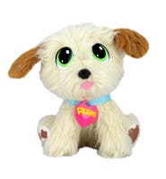 Rescue Runts, Golden Retriever