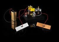 Alga, 101 Experiment