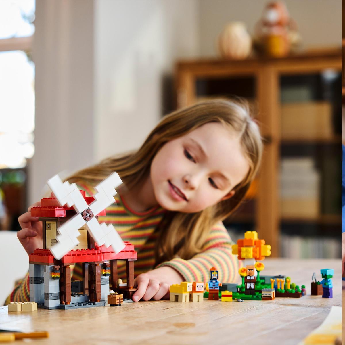 LEGO Minecraft 21262, Väderkvarnsgården