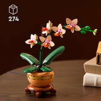 LEGO® Botanicals Miniorkidé 10343
