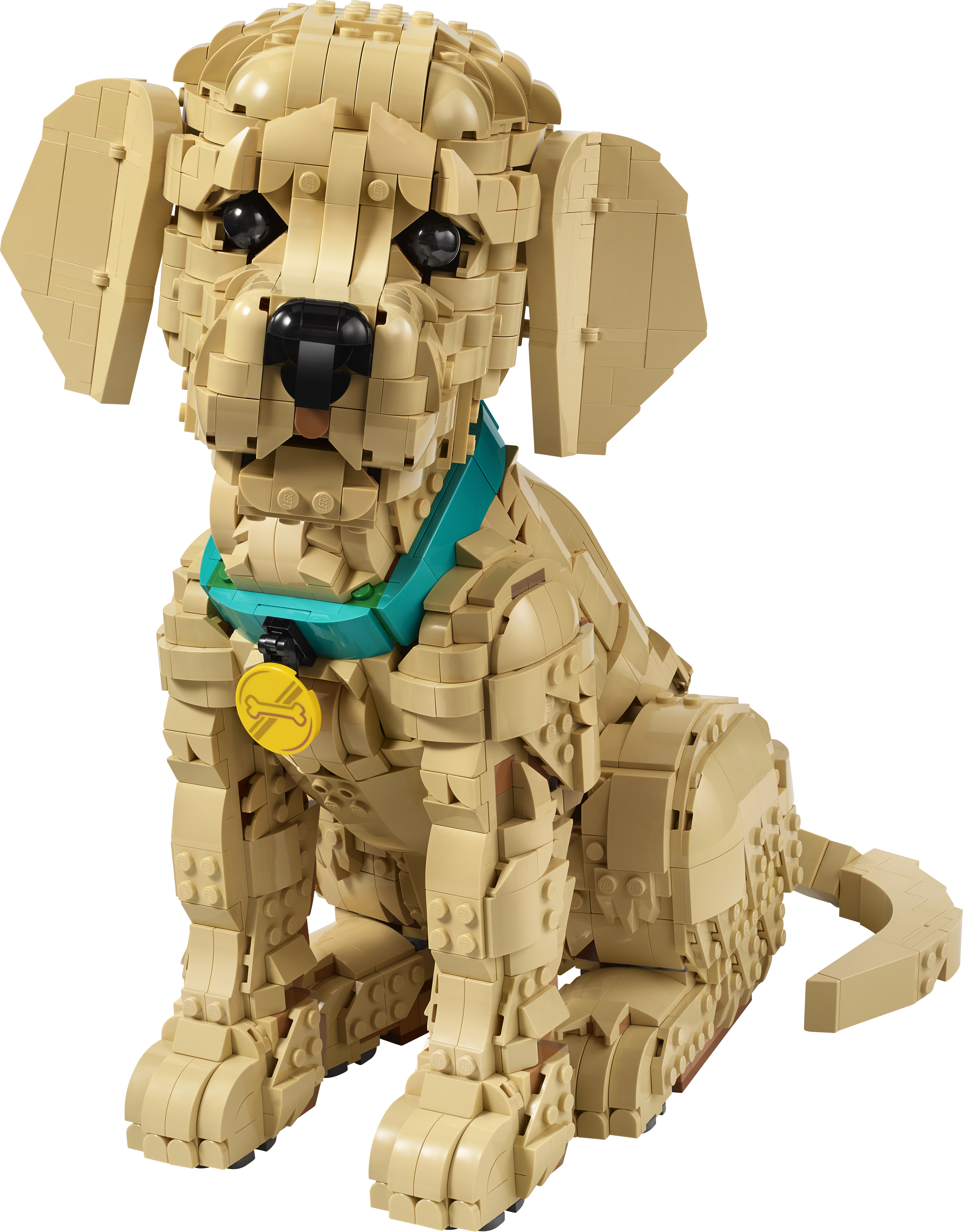 LEGO® Icons Golden retriever-valp – Bygg- och heminredningsset med djurfigur för vuxna – 11384