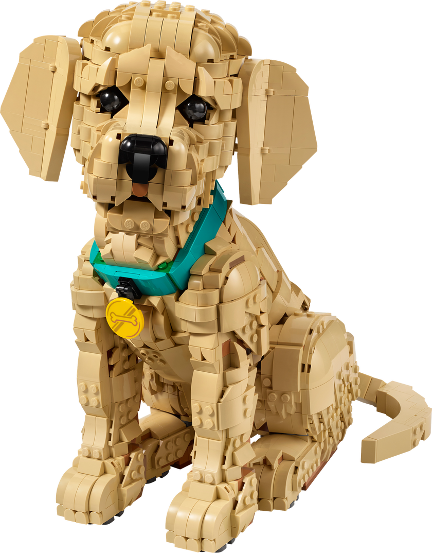 LEGO® Icons Golden retriever-valp – Bygg- och heminredningsset med djurfigur för vuxna – 11384