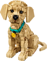 LEGO® Icons Golden retriever-valp – Bygg- och heminredningsset med djurfigur för vuxna – 11384