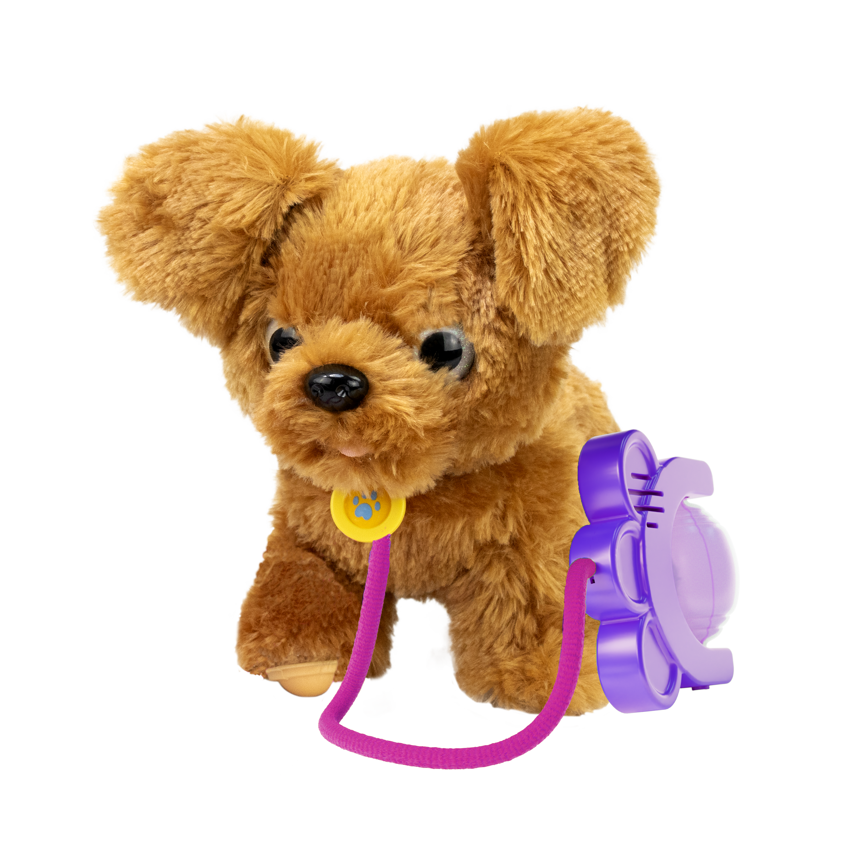 Sprint - Golden Doodle